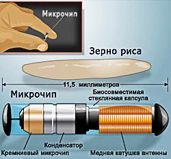 Микрочип под кожу