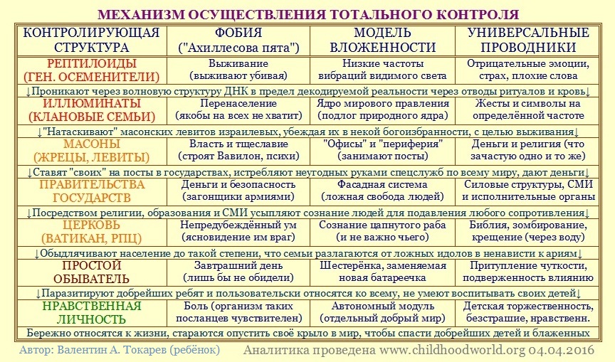 Механизм (схема) осуществления тотального контроля